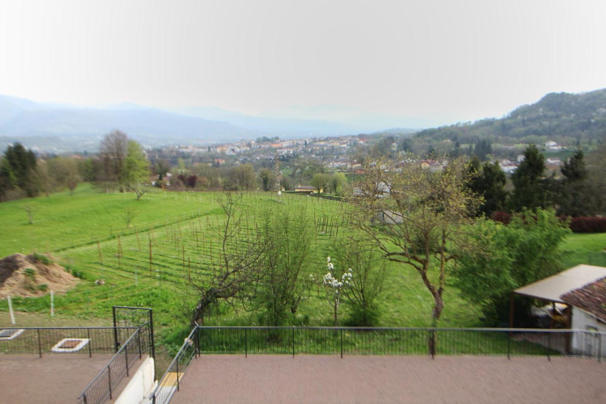 Le Vignole *